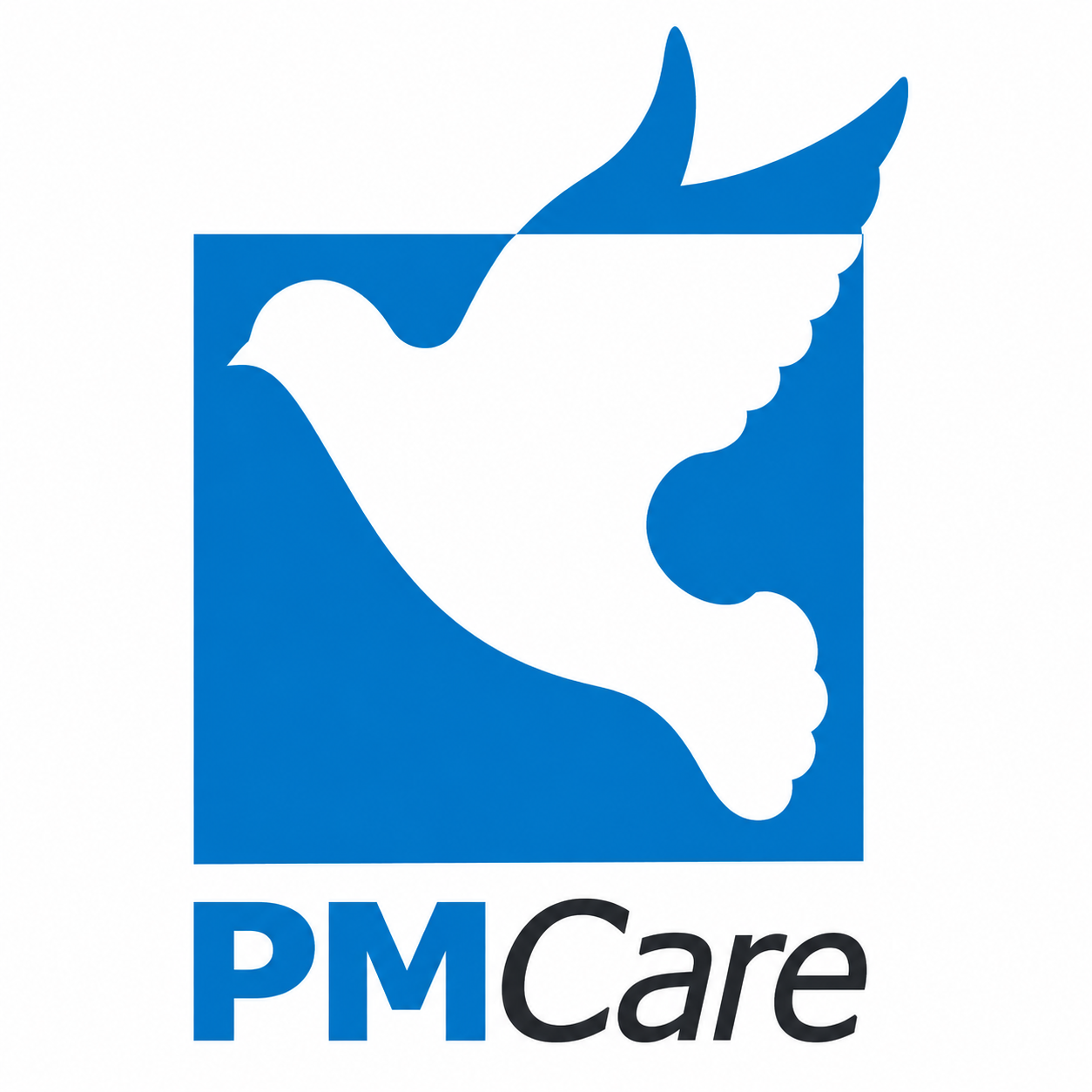 Klinik Hasnida Home PMCare logo